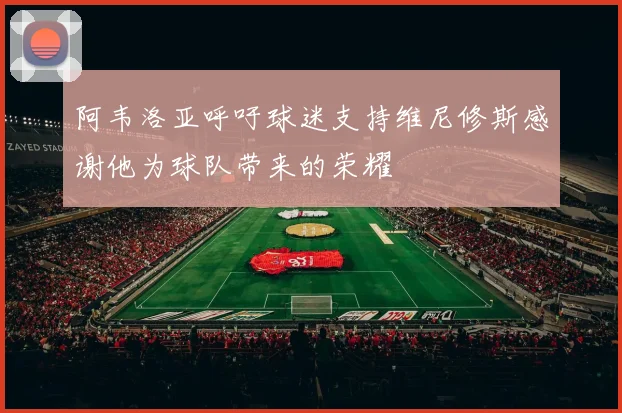 阿韦洛亚呼吁球迷支持维尼修斯感谢他为球队带来的荣耀