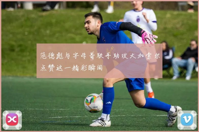 范德彪与字母哥联手助攻大加索尔点赞这一精彩瞬间