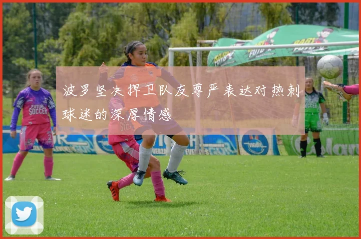 波罗坚决捍卫队友尊严表达对热刺球迷的深厚情感